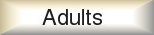 Programs for adults